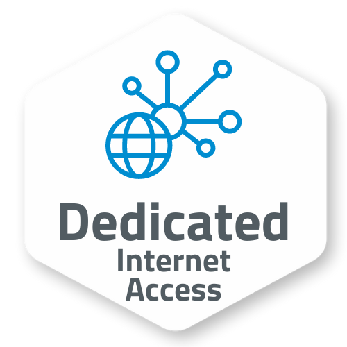 DEDICATED-INTERNET-ACCESS